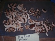 Forum Image: http://thumbnails34.imagebam.com/12715/5169b5127143064.jpg