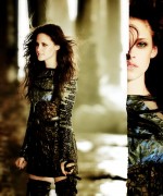 ImageBam image upload